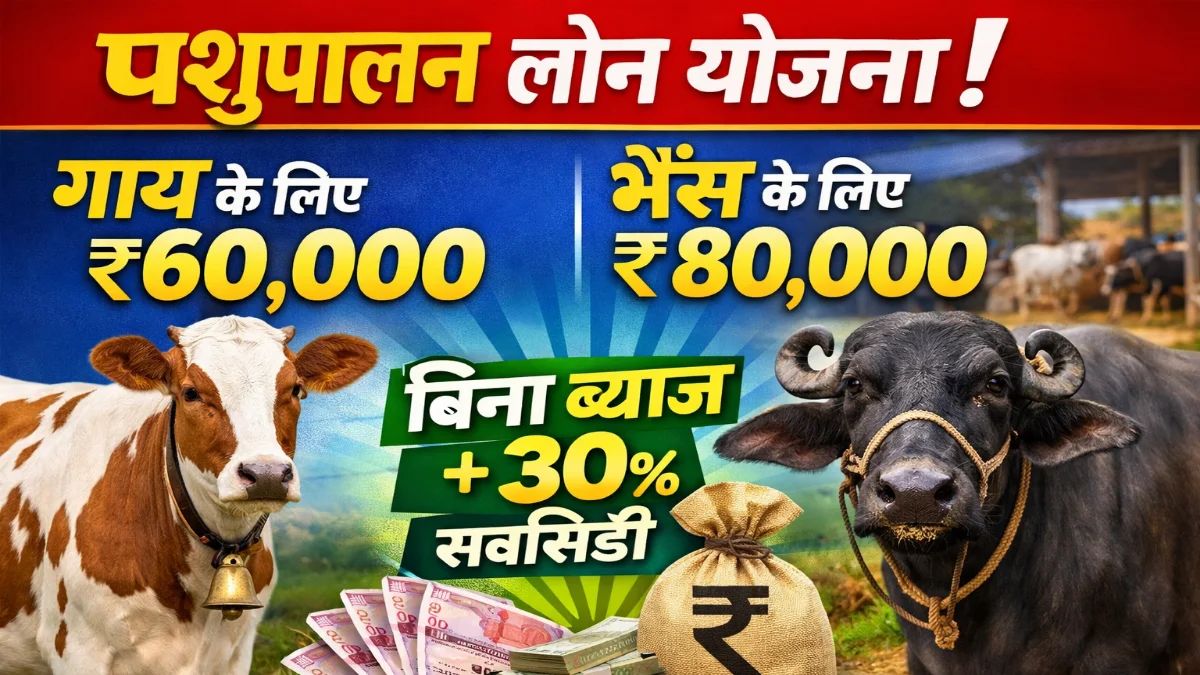 Pashu Palan Loan Yojana